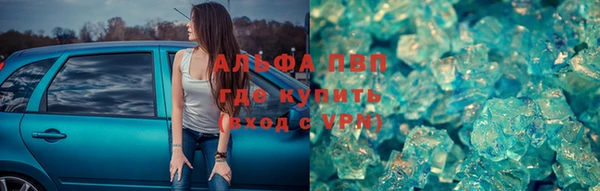 стаф Горняк