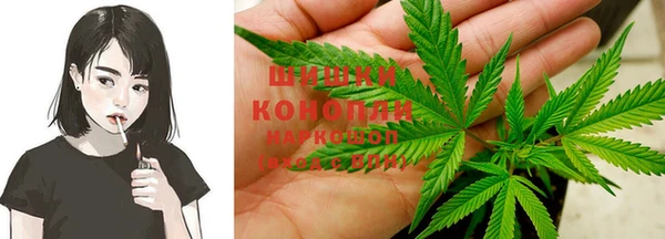 стаф Горняк