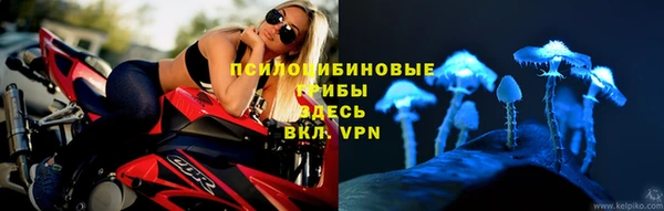 стафф Горнозаводск