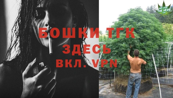 стаф Горняк
