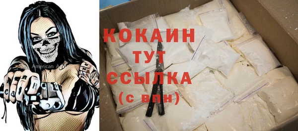 стаф Горняк