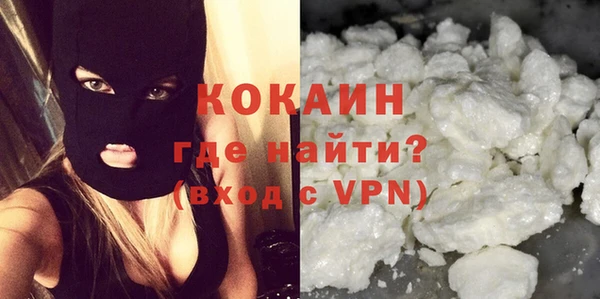 стаф Горняк