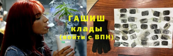 стаф Горняк