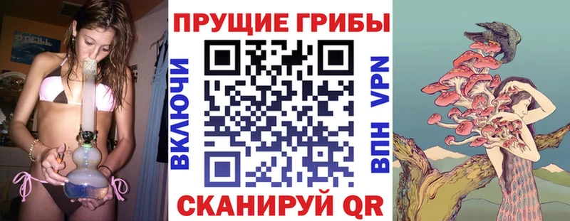 Галлюциногенные грибы Psilocybine cubensis  хочу   ссылка на мегу ссылка  Полтавская 